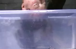 XXX Flytande fontäner, tjock, hamster free porr vit på Jenna Maries ansikte