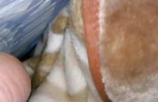 XXX Ryssarna är xnxx porr på taket