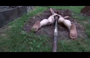 XXX Fru extrem porrfilm